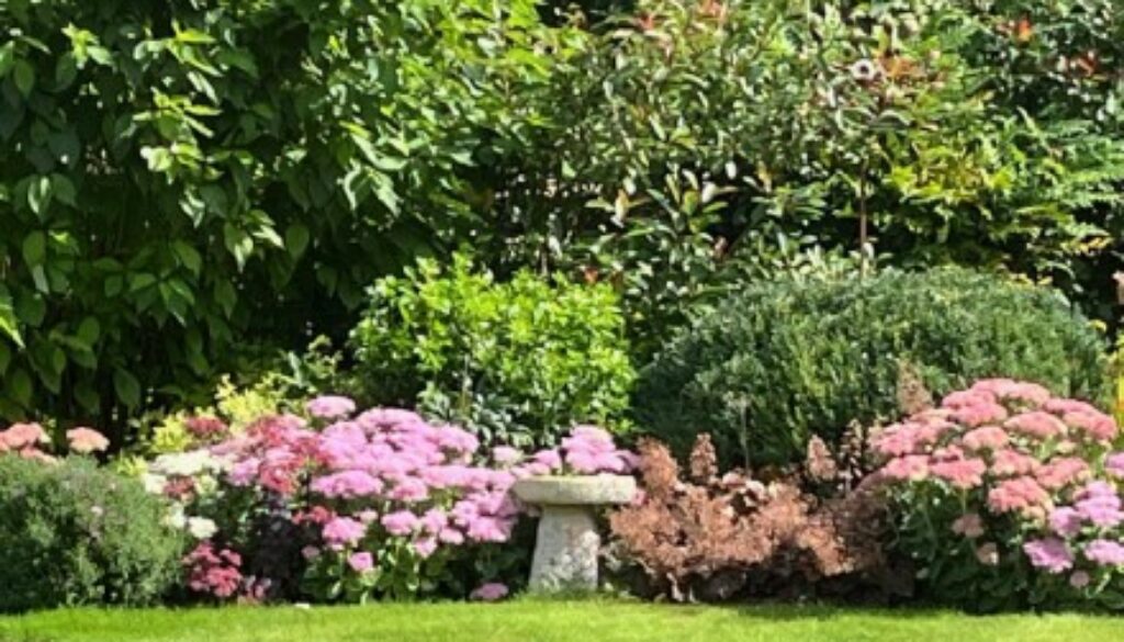 Autumn Garden Planting Designs & Schems